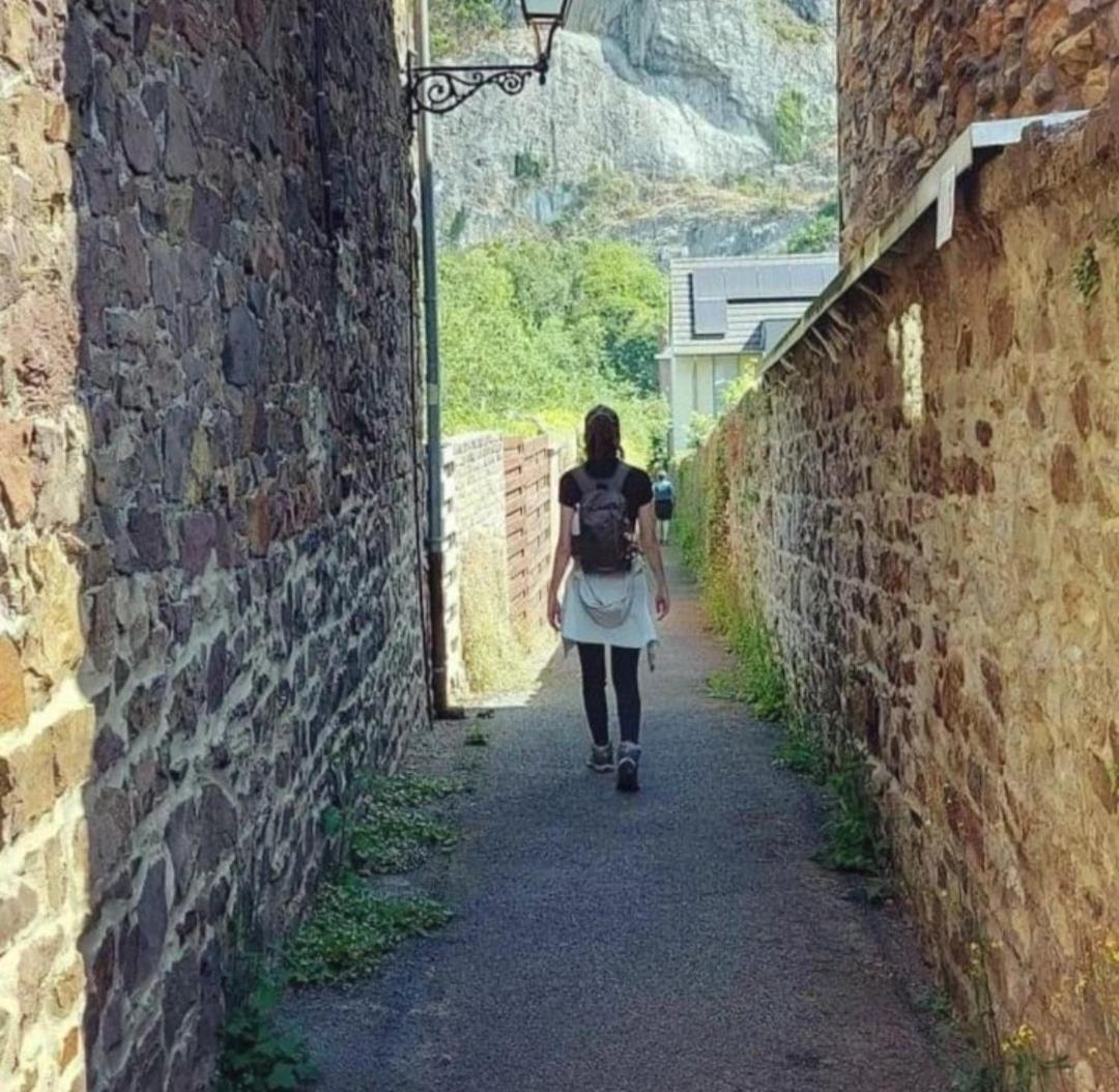 Escale Chambre D'Hotes Au Coeur Du Vieux Profondeville Entre Namur Et Dinant Esterno foto